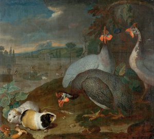 Perlhuhner Mit Meerschweinchen by Philipp Ferdinand De Hamilton Oil Painting