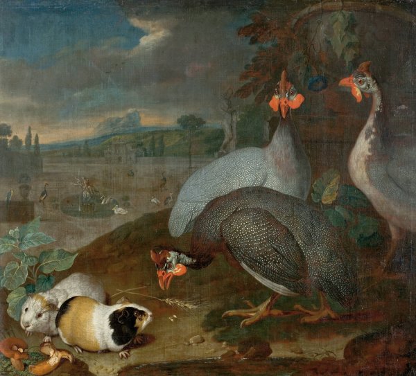 Perlhuhner Mit Meerschweinchen  by Philipp Ferdinand De Hamilton - Hand-Painted Oil Painting Reproduction
