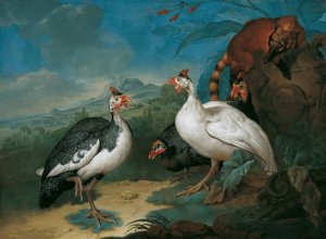 Perlhuhner Und Nasenbar by Philipp Ferdinand De Hamilton Oil Painting
