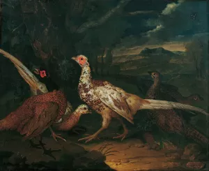 Pheasants by Philipp Ferdinand De Hamilton Oil Painting