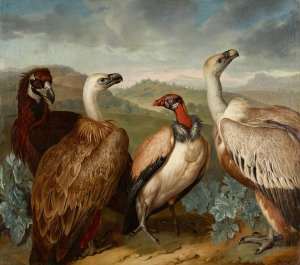 Vier Geier Verschiedener Art by Philipp Ferdinand De Hamilton Oil Painting
