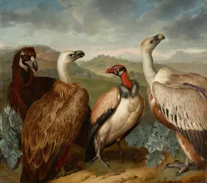 Vier Geier Verschiedener Art by Philipp Ferdinand De Hamilton Oil Painting