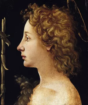The Young Saint John the Baptist by Piero Di Cosimo Oil Painting