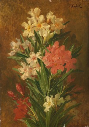 Red and white flowering oleander by Pierre Adrien Chabal-Dussurgey Oil Painting