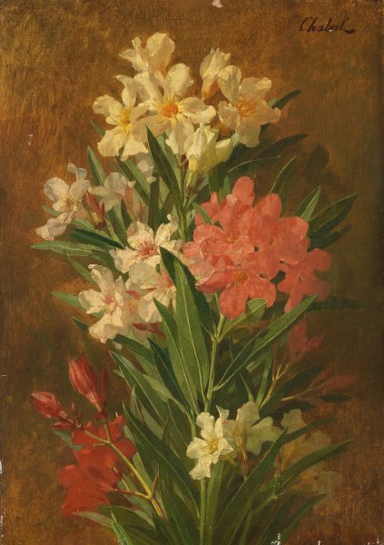 Red and white flowering oleander  by Pierre Adrien Chabal-Dussurgey - Hand-Painted Oil Painting Reproduction