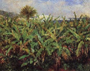 Field of Banana Trees by Pierre-Auguste Renoir Oil Painting