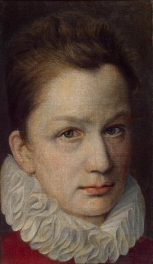 Portrait of a Young Man by Pierre Dumonstier Oil Painting