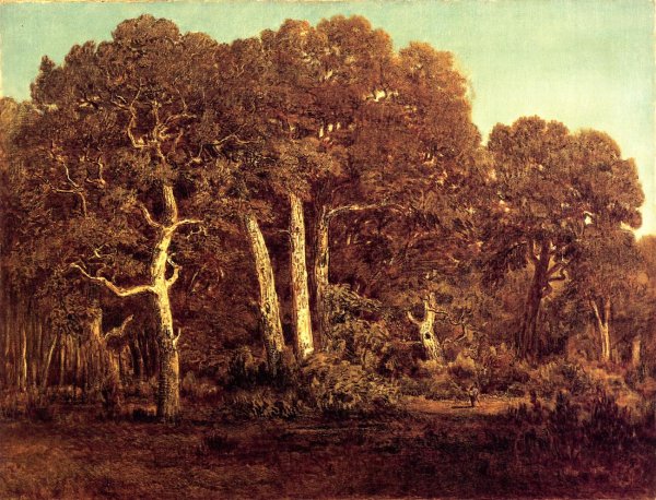 Main Product Photo of The Great Oaks of the Vieux Bas-Breau Painting by Pierre Etienne Theodore Rousseau