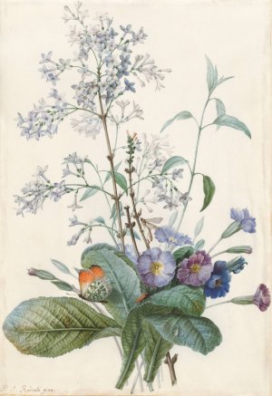 A Bouquet of Flowers with Insects by Pierre Joseph Redoute Oil Painting