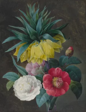 Four Peonies and a Crown Imperial by Pierre Joseph Redoute Oil Painting