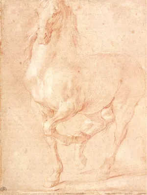 Study of a Horse by Pierre Puget - Oil Painting Reproduction