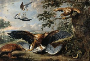 Fight between Eagles by Pieter Boel Oil Painting