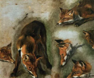 Studies of a Fox by Pieter Boel Oil Painting