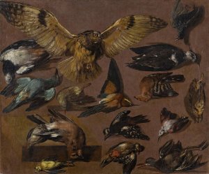 Studies of An Owl and Other Birds by Pieter Boel Oil Painting