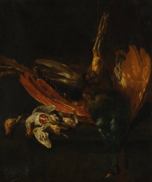 Still Life Of Game Birds On A Ledge by Pieter Casteels III Oil Painting