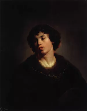 Portrait of a Youth Oil painting by Pieter De Grebber