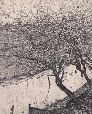 Apple Trees along the Side of a Ditch by Pieter Dupont Oil Painting