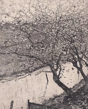 Apple Trees along the Side of a Ditch by Pieter Dupont Oil Painting