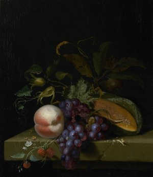Still Life with Fruit by Pieter Gallis Oil Painting