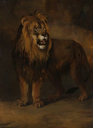 A Lion from the Menagerie of King Louis Napoleon, 1808 by Pieter Gerardus Van Os Oil Painting