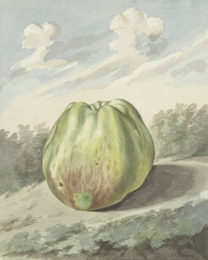 Appel in een landschap by Pieter Gevers Oil Painting