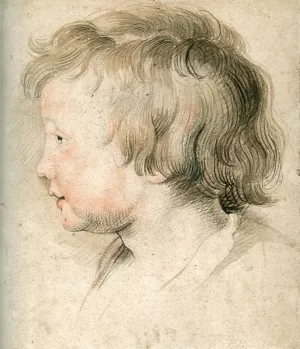 Albert Rubens by Peter Paul Rubens Oil Painting