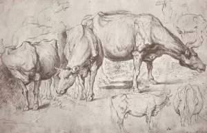 Cows painting by Peter Paul Rubens