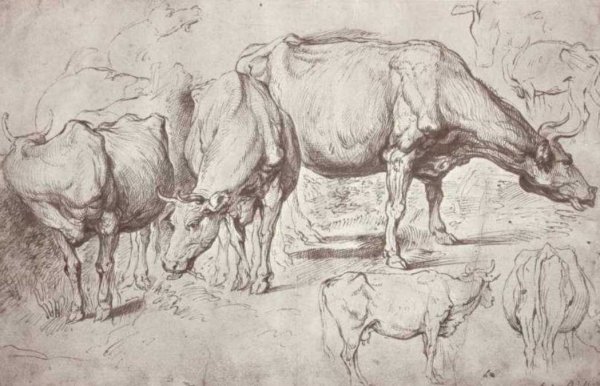 Cows by Peter Paul Rubens - Hand-Painted Oil Painting Reproduction