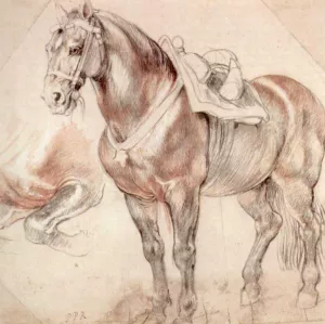 Etude of Horse by Peter Paul Rubens Oil Painting