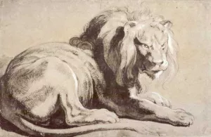 Etude of Lion by Peter Paul Rubens Oil Painting