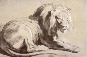 Etude of Lion Oil painting by Peter Paul Rubens