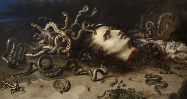Main Product Photo of Head of Medusa  Painting by Peter Paul Rubens