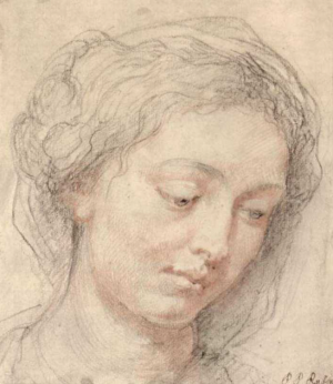 Head of woman by Peter Paul Rubens Oil Painting