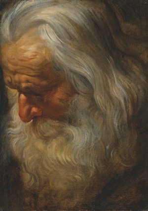 Head study of a bearded old man by Peter Paul Rubens Oil Painting