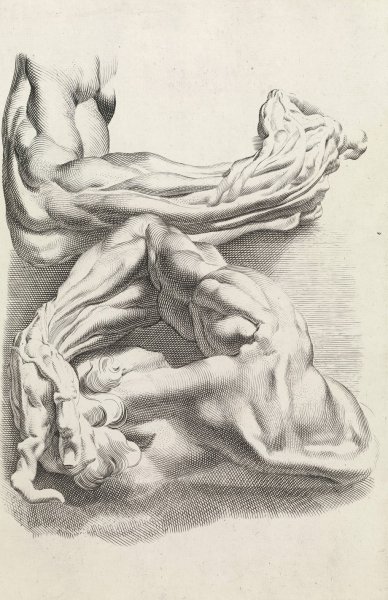 Main Product Photo of Muscles Painting by Peter Paul Rubens