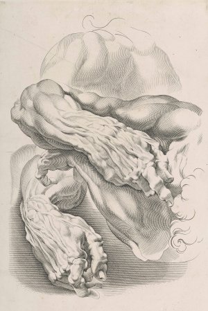 Muscles by Peter Paul Rubens Oil Painting