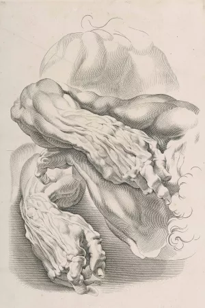 Muscles by Peter Paul Rubens Oil Painting