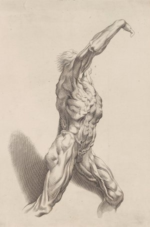 Nude Study by Peter Paul Rubens Oil Painting