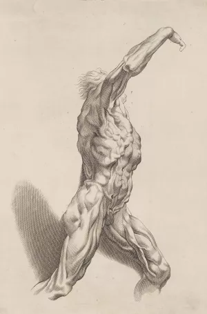 Nude Study by Peter Paul Rubens Oil Painting
