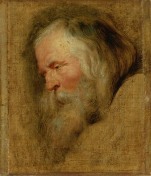 Study Head of Caspar, The Eldest Magus by Peter Paul Rubens Oil Painting