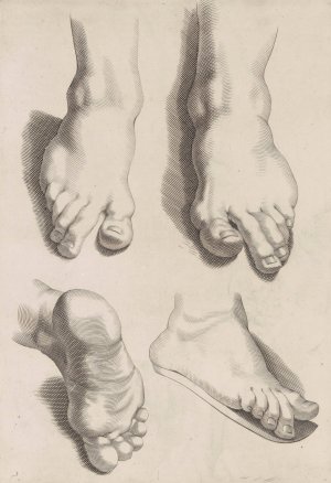 Study of Feet by Peter Paul Rubens Oil Painting