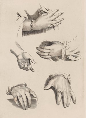 Study of Hands by Peter Paul Rubens Oil Painting