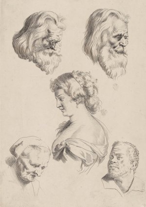Study of Heads by Peter Paul Rubens Oil Painting