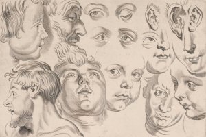 Study of Heads by Peter Paul Rubens Oil Painting