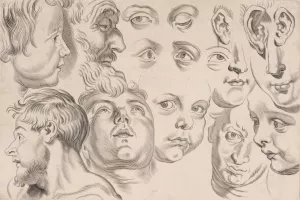 Study of Heads by Peter Paul Rubens Oil Painting