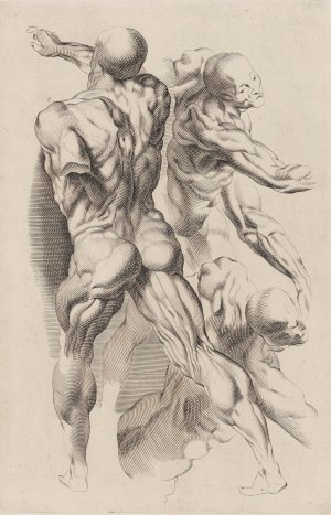 Study of Two Naked Men by Peter Paul Rubens Oil Painting