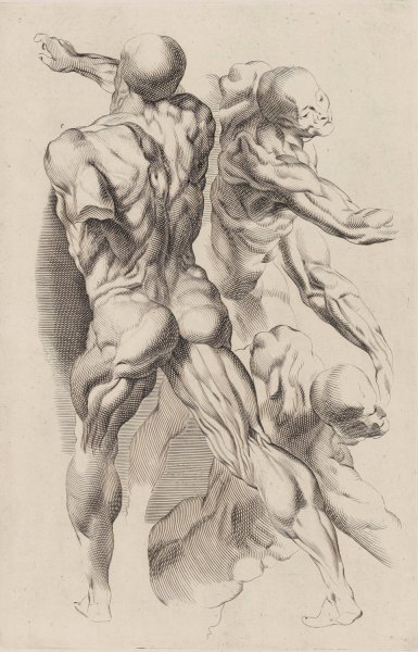 Study of Two Naked Men by Peter Paul Rubens - Hand-Painted Oil Painting Reproduction