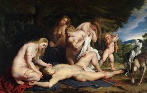 The Death of Adonis by Peter Paul Rubens Oil Painting