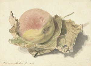Perzik op twee bladeren by Pieter Van Der Meulen Oil Painting