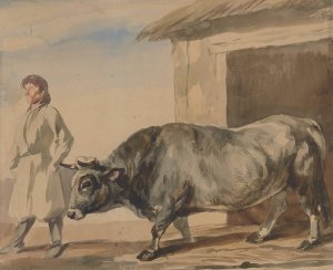 Grey ox and a peasant from Bolestraszyce by Piotr Michalowski Oil Painting